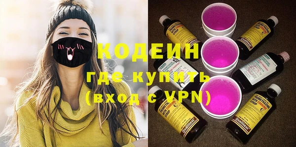 индика Балахна
