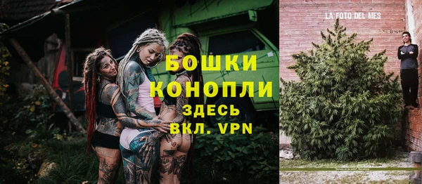 индика Балахна