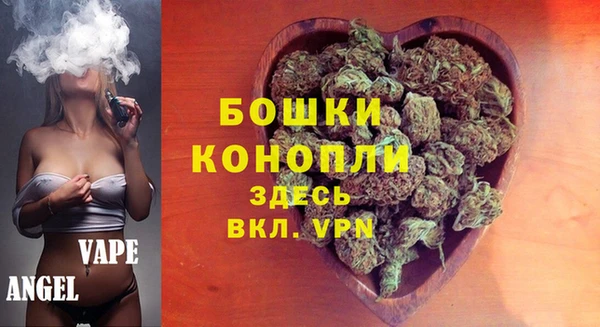 индика Балахна