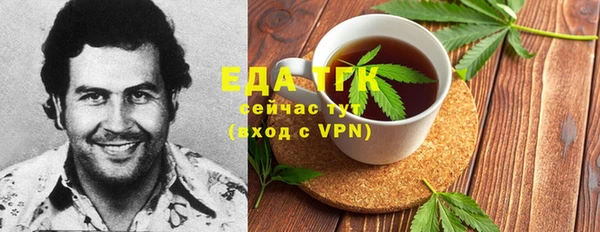 индика Балахна