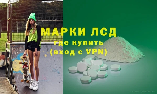 индика Балахна