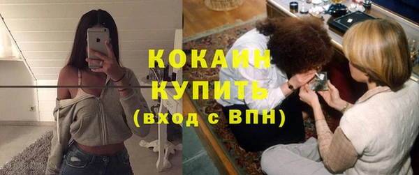индика Балахна