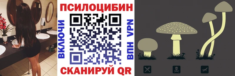 купить сайты Володарск Галлюциногенные грибы прущие грибы